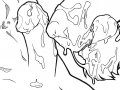 GRIS_SPOOGEYLIONMUZZLE.JPG